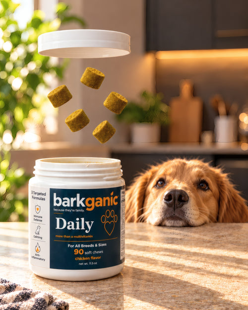 Barkganic Daily soft chews jar with a golden retriever
